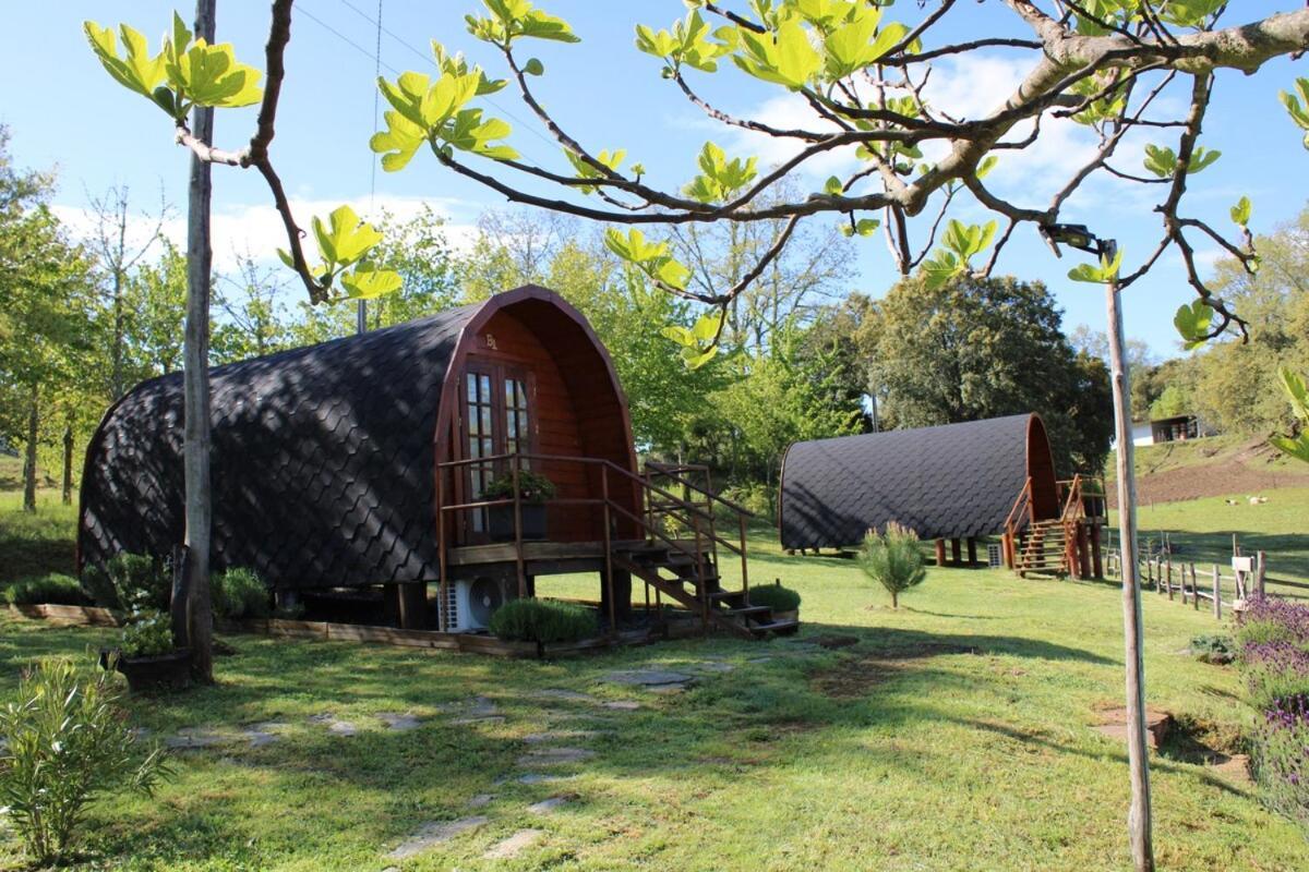 Quinta Da Devesa -B2 Hotel วินญายช์ ภายนอก รูปภาพ